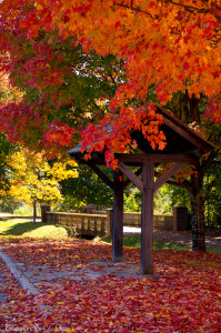fall in Winston Salem, NC