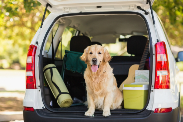 Spacious trunk